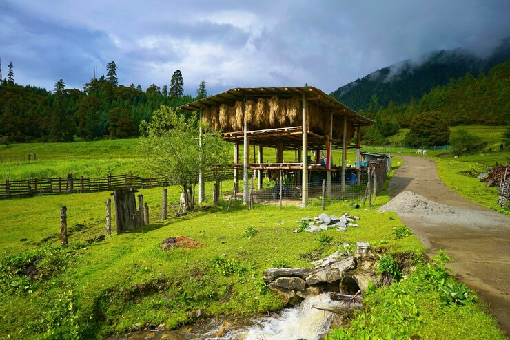 Jibhi Tirthan Valley
