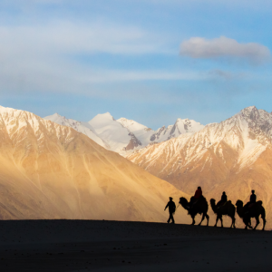 Ladakh 7Nights 8Days