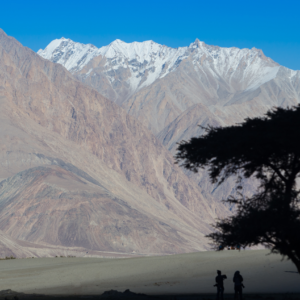 Amazing Ladakh – 5nights / 6days