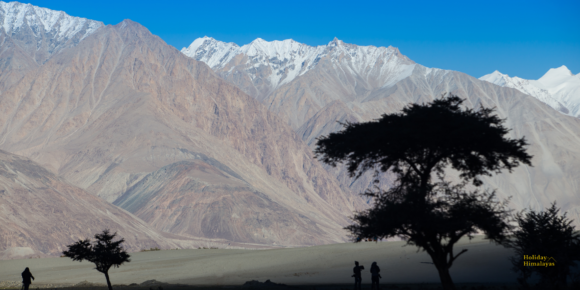 Amazing Ladakh – 5nights / 6days