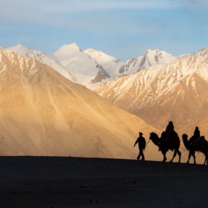 Ladakh Permits / Weather & Highlights